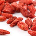 Baya orgánica de alta calidad de Goji de Ningxia